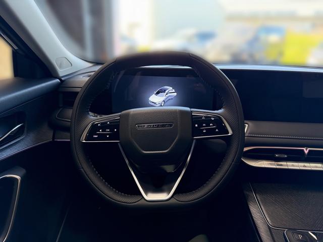Dongfeng VENUCIA V-ONLINE Premium 360 Grad Kamera Parkassist Leder 