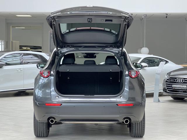 Mazda CX-30 2.0 SKYACTIV-G M Hybrid 150 Homura 