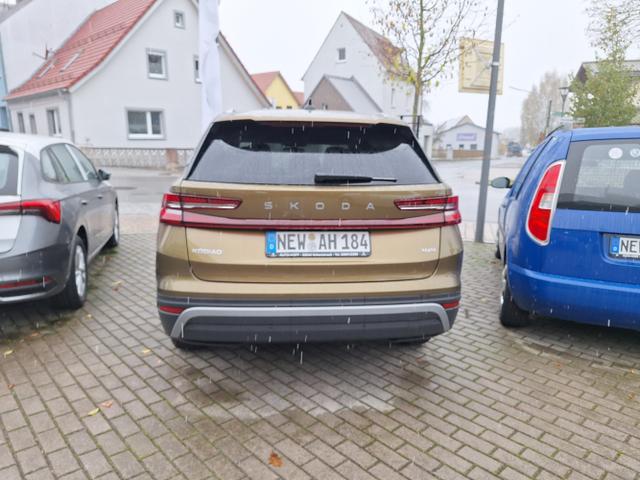 Skoda / Kodiaq / Gold-Bronze Metallic / / / 