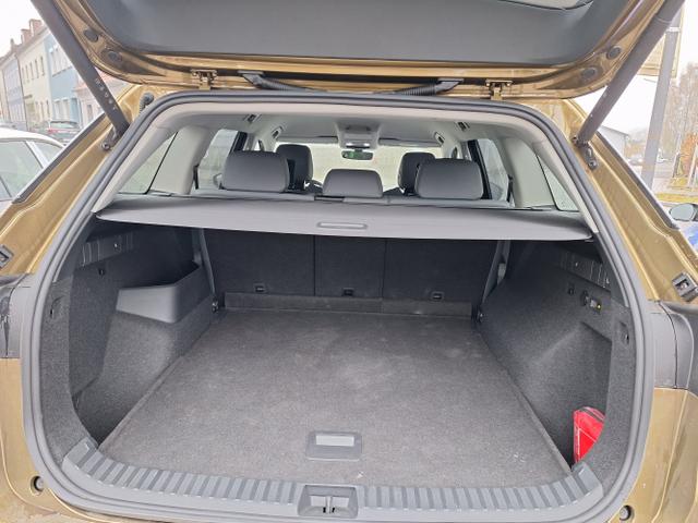 Skoda / Kodiaq / Gold-Bronze Metallic / / / 