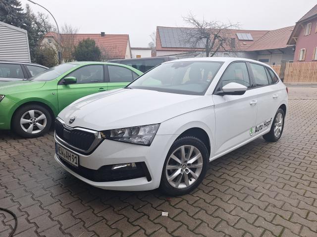 Skoda / Scala / Moon White Metallic / / / Scala 1.0 TSI Cool Plus