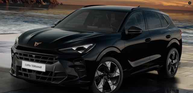 Cupra Terramar VZ 2.0TSI 4x4+Pano+AHK-Vorbereitung 