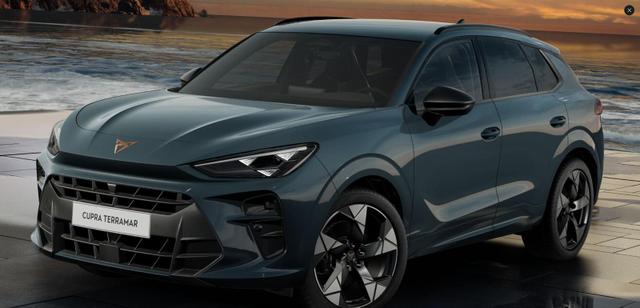 Cupra Terramar VZ 2.0TSI 4x4+Pano+AHK-Vorbereitung 