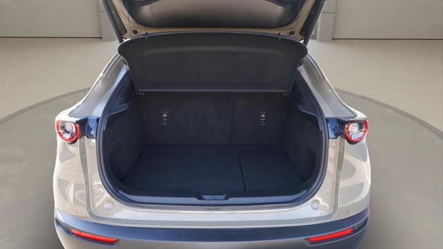 Mazda CX-30 Nagisa 2WD LED+Bose+Elektrische Heckklappe+Kamera++sofort verf&uuml;gbar 