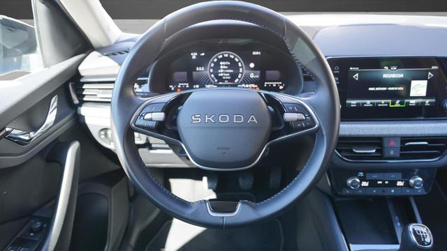 Skoda Kamiq Plus 1.0 TSI+Kamera+LED+Sitzheizung+Tempomat 