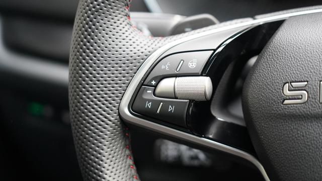 Skoda Octavia Combi RS 2.0TSI DSG+AHK+Matrix+Pano+sofort verf&uuml;gbar 