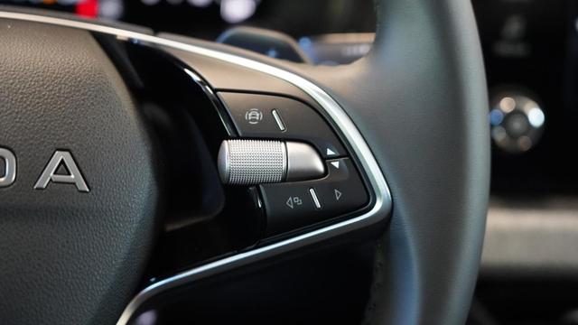 Skoda Kamiq Selection 1.5TSI DSG+KomfortPaket+AHK 