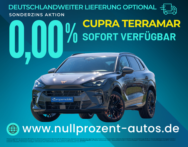 Terramar - VZ 2.0 TSI 195kW DSG 4Drive (Vorlauf) PANO/NAV/DIGI/INTELLI/20