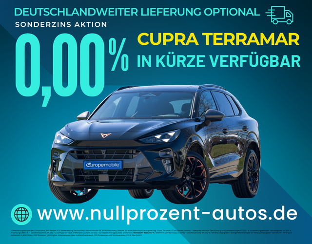 Terramar - VZ 2.0 TSI 195kW DSG 4Drive (Vorlauf) PANO/NAV/INTELLI/20