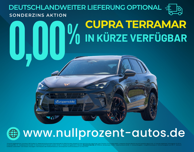 Terramar - VZ 2.0 TSI 195kW DSG 4Drive (Vorlauf) PANO/NAV/INTELLI/20