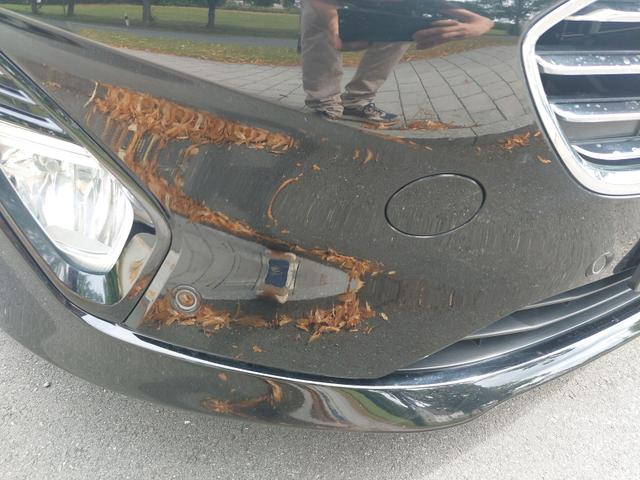 Ford Fiesta 1.0 EcoBoost Titanium Start/Stopp 