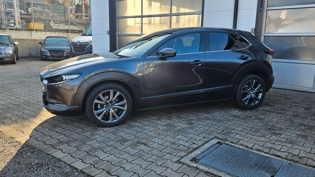 Mazda CX-30 2.0 SKYACTIV-X Selection 2WD *360*AHK*HUD* 