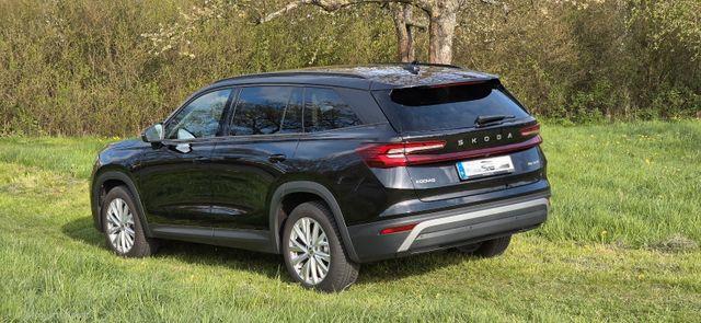 Skoda Kodiaq 2.0 TDI 142 kW 4x4 Selection *St-Hzg.*AHK 