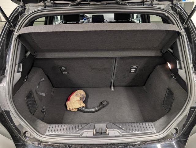 Ford Fiesta Active LED/Navi/SHZ/AHK/Kam/Tempom./17-LM 