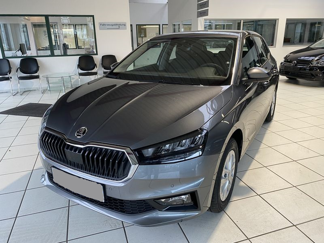 Skoda Fabia - 1.0 TSI DSG (85 KW - 115 PS) Top Selection