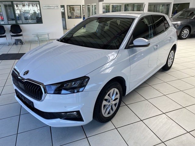 Skoda Fabia 1.0 TSI DSG (85 KW - 115 PS) Top Selection 