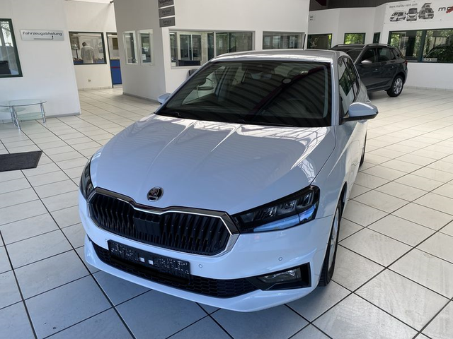 Skoda Fabia - 1.0 TSI DSG (85 KW - 115 PS) Top Selection