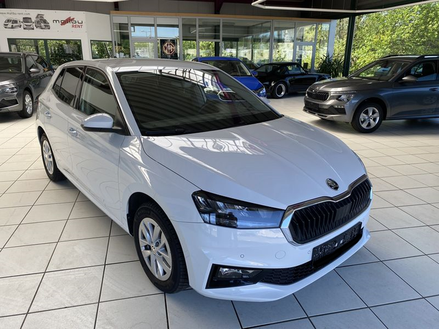 Skoda Fabia 1.0 TSI DSG (85 KW - 115 PS) Top Selection 