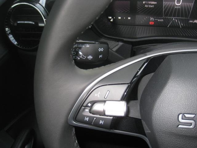 Skoda Fabia 1.0TSI Selection 130-JAHRE 