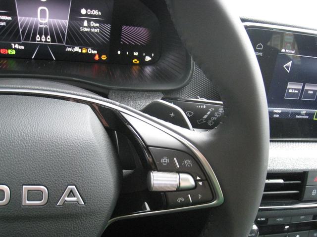 Skoda Kamiq Selection 1.0 TSI DSG 