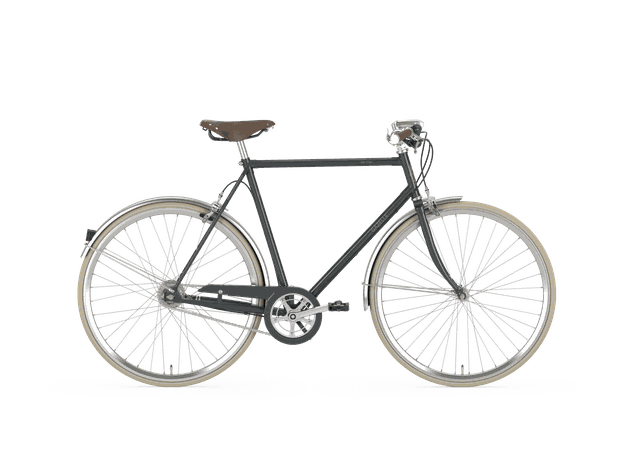Gazelle van Stael 2019 Herrenrad in Farbe 