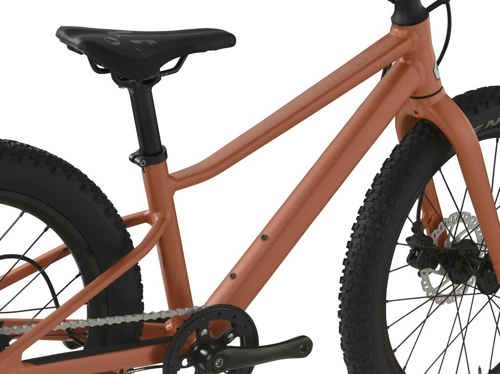 BMC Mountainbike KidsSeries BLAST 20 2021 verfügbar ab