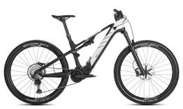 Rotwild E-Mountainbike - Cross Mountain R.C750      PRO (2022) Größe L, sofort verfügbar!  