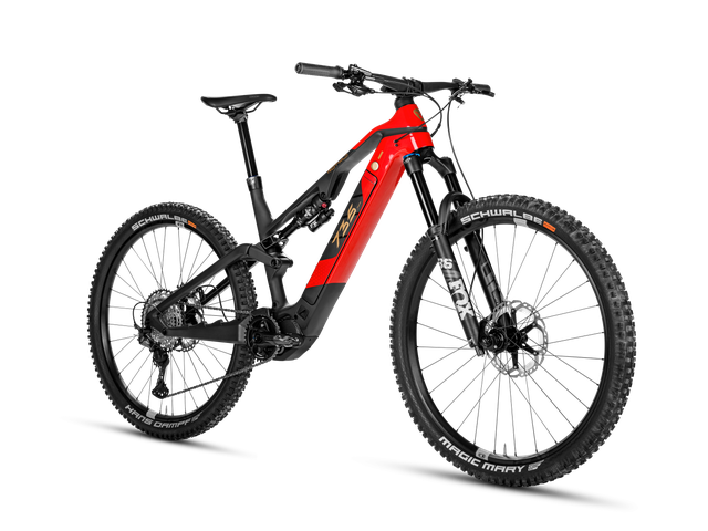 Rotwild E-Mountainbike - All Mountain R.X735 - PRO Größe L, sofort verfügbar!