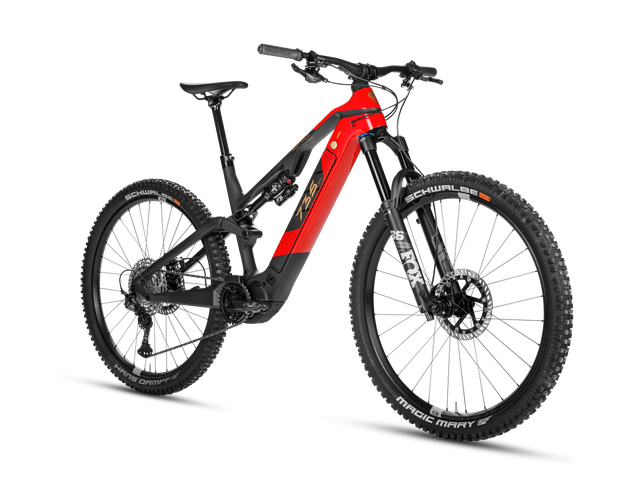 Rotwild E-Mountainbike - All Mountain R.X735 - Core Größe S, sofort verfügbar!