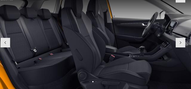 Skoda Karoq Selection Plus 116PS TSI - Matrix/RFK/ACC/KESSY/5J Garantie 