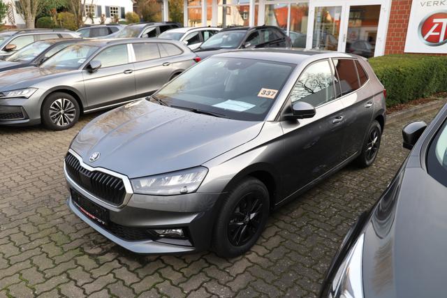 Skoda Fabia Top Selection 95PS TSI - SHZ/App/Climatronic/LED/PDC/5J Garantie 