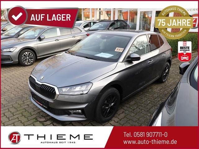Skoda Fabia - Top Selection 95PS TSI - SHZ/App/Climatronic/LED/PDC/5J Garantie