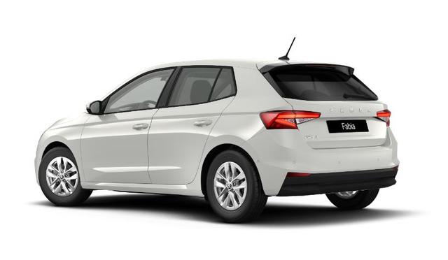 Skoda Fabia Selection Style 95PS TSI - RFK/SHZ/KESSY/App/PLA/5J Garantie 