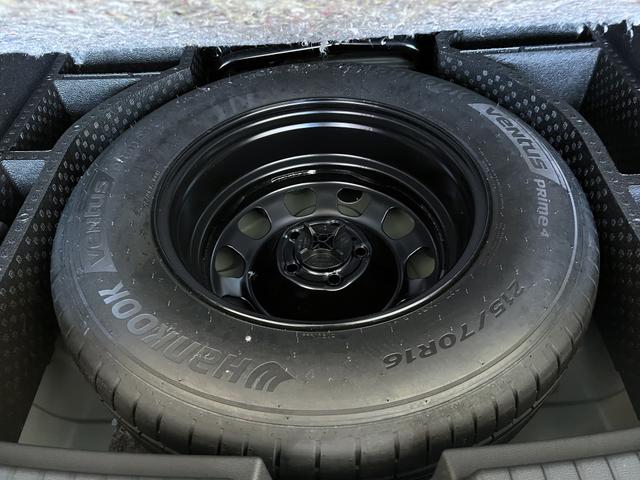 Dacia Duster Extreme Grün