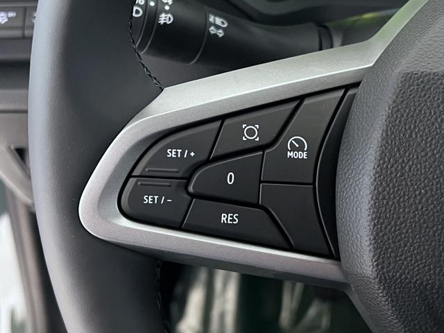 Dacia Duster Extreme Grün