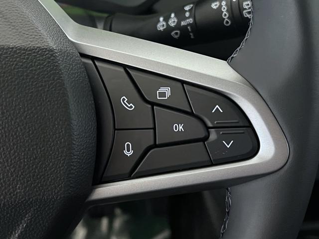 Dacia Duster Extreme Grün