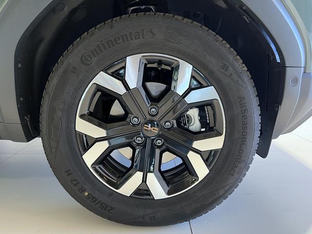 Dacia Duster Extreme Grün