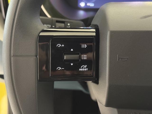 Fiat Grande Panda Icon Limone Gelb