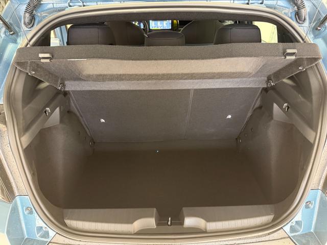 Fiat Grande Panda Icon Lago Blau