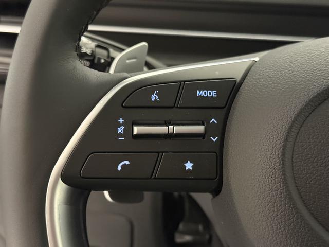 Hyundai Staria Kastenwagen 3 Sitzer