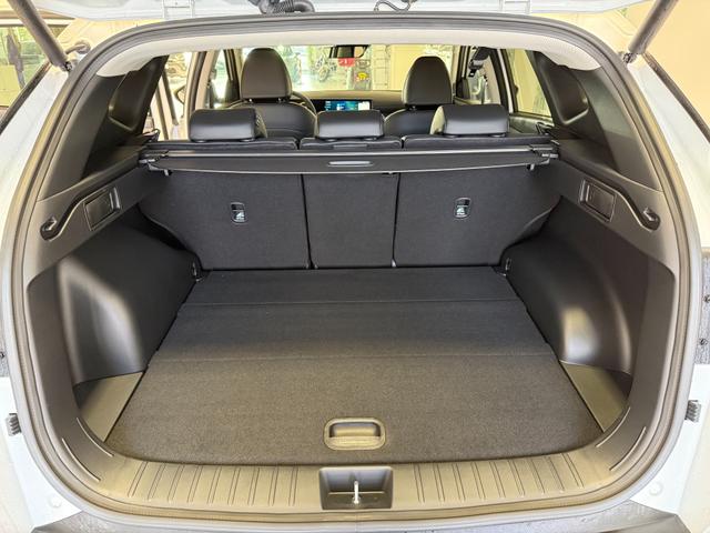 Hyundai Tucson NX4 GO Plus