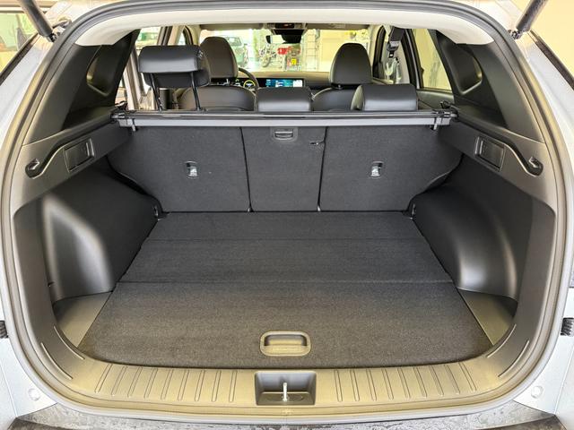 Hyundai GO Plus Shimmering Silver