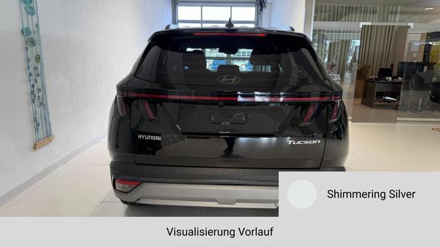 Tucson Shimmering Silver, Beispielbilder