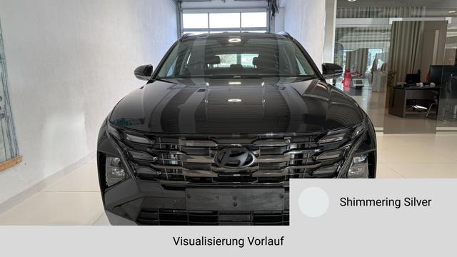 Tucson Shimmering Silver, Beispielbilder