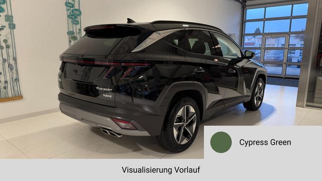 Tucson Cypress Green Vorlauf