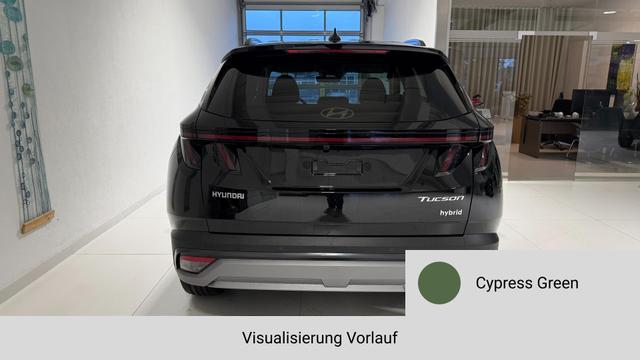 Tucson Cypress Green Vorlauf