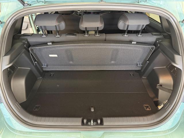 Hyundai i20 N Line Mangrove Green