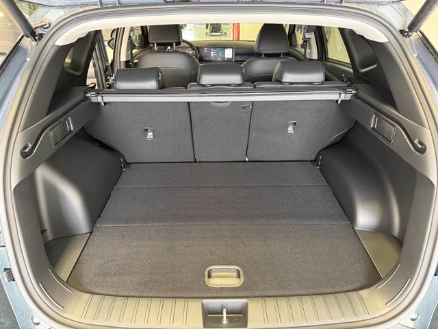 Hyundai Tucson Go Plus Cypress Green