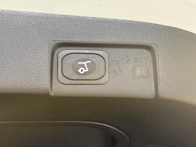 Ford Puma ST-Line Cactus Grau