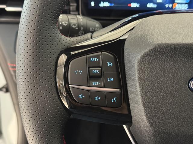 Ford Puma ST-Line Cactus Grau